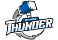 Wichita Thunder 2016 17-Pres Primary Logo Print Decal