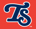 Tennessee Smokies 2003-2006 Cap Logo Print Decal