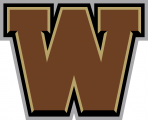 Western Michigan Broncos 2016-Pres Secondary Logo 02 Iron On Transfer