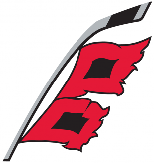 Carolina Hurricanes 2018 19-Pres Alternate Logo Iron On Transfer