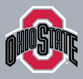 Ohio State Buckeyes 1987-2012 Alternate Logo 01 Iron On Transfer