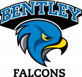 Bentley Falcons 2013-Pres Alternate Logo Iron On Transfer