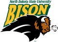 North Dakota State Bison 2005-2011 Alternate Logo 01 Print Decal