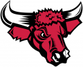 Nebraska-Omaha Mavericks 2004-2010 Secondary Logo Iron On Transfer