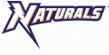 Northwest Arkansas Naturals 2008-Pres Wordmark Logo Print Decal