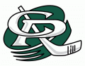 Cedar Rapids RoughRiders 1999 00-2011 12 Alternate Logo Iron On Transfer