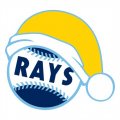 Tampa Bay Rays Baseball Christmas hat logo Print Decal