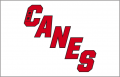 Carolina Hurricanes 2019 20-Pres Jersey Logo Print Decal