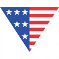 USA Logo 16 Iron On Transfer