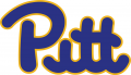 Pittsburgh Panthers 1973-1996 Wordmark Logo Print Decal