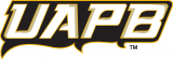 Arkansas-PB Golden Lions 2015-Pres Wordmark Logo 05 Print Decal