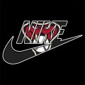 Arizona Diamondbacks Nike logo Iron On Transfer