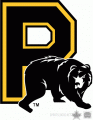 Providence Bruins 2008 09 Alternate Logo Iron On Transfer