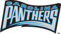 Carolina Panthers 1995 Wordmark Logo 01 Print Decal