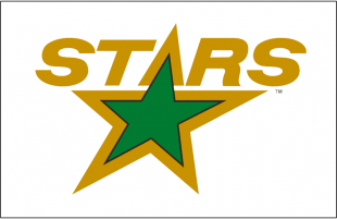 Dallas Stars 1993 94 Jersey Logo Print Decal