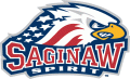 Saginaw Spirit 2002 03-Pres Primary Logo Print Decal