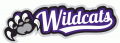 Weber State Wildcats 2012-Pres Misc Logo Print Decal