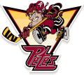 Peterborough Petes 1999 00-2004 05 Alternate Logo Print Decal