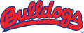 Fresno State Bulldogs 2000-Pres Wordmark Logo Print Decal