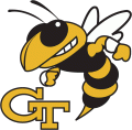 Georgia Tech Yellow Jackets 1991-Pres Primary Logo Iron On Transfer