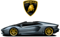 Lamborghini Aventador Rental Iron On Transfer