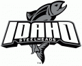 Idaho Steelheads 2008 09-Pres Alternate Logo Print Decal