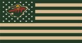 Minnesota Wild Flag001 logo Iron On Transfer