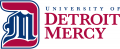 Detroit Titans 2016-Pres Alternate Logo 01 Print Decal