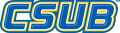 CSU Bakersfield Roadrunners 2006-Pres Wordmark Logo 05 Print Decal