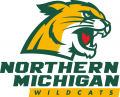 Northern Michigan Wildcats 2016-Pres Primary Logo Iron On Transfer