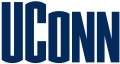 UConn Huskies 1996-2012 Wordmark Logo 02 Print Decal