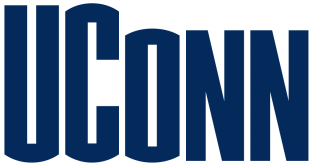 UConn Huskies 1996-2012 Wordmark Logo 02 Iron On Transfer