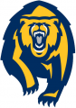 California Golden Bears 2013-Pres Alternate Logo Print Decal