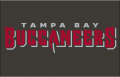 Tampa Bay Buccaneers 2020-Pres Wordmark Logo 01 Print Decal