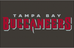 Tampa Bay Buccaneers 2020-Pres Wordmark Logo 01 Iron On Transfer