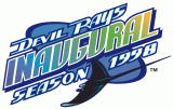 Tampa Bay Rays 1998 Anniversary Logo Iron On Transfer