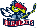 Columbus Blue Jackets 2000 01-2003 04 Alternate Logo Print Decal