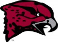 Maryland-Eastern Shore Hawks 2007-Pres Primary Logo Print Decal