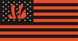Cincinnati Bengals Flag001 logo Print Decal