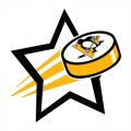 Pittsburgh Penguins Hockey Goal Star logo Iron On Transfer