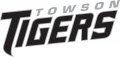 Towson Tigers 2004-Pres Wordmark Logo 02 Print Decal