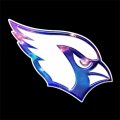 Galaxy Arizona Cardinals Logo Iron On Transfer