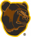 Boston Bruins 1995 96-2006 07 Alternate Logo Iron On Transfer