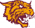 Bethune-Cookman Wildcats 2000-2015 Alternate Logo Iron On Transfer