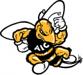 AIC Yellow Jackets 2001-2008 Primary Logo Print Decal