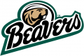 Bemidji State Beavers 2004-Pres Alternate Logo 01 Print Decal