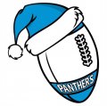 Carolina Panthers Football Christmas hat logo Iron On Transfer