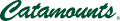 Vermont Catamounts 1998-Pres Wordmark Logo 01 Print Decal