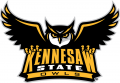 Kennesaw State Owls 2012-Pres Primary Logo Print Decal