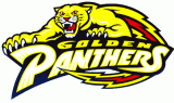 FIU Panthers 1994-2000 Primary Logo Iron On Transfer